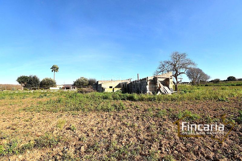 Foto 259b2a90-f67d-4437-8593-b30fc053d0f0. Masia a Manacor centre Manacor