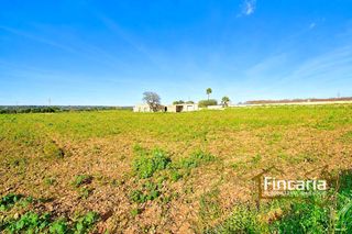 Mas  Ma-3321. Venta de casa rústica en manacor