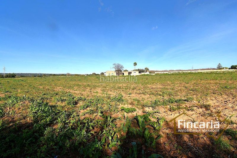 Foto ab4bbd62-f19e-4e6d-9641-2e5f6a2a9dcf. Masia a Manacor centre Manacor