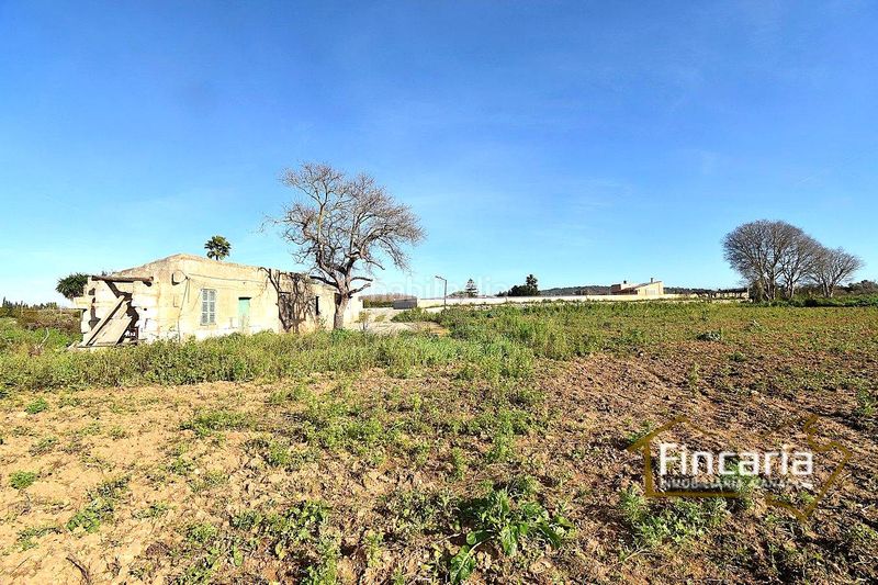 Foto ad1ae818-2b69-4ba9-b02c-8340637ea22d. Masia a Manacor centre Manacor