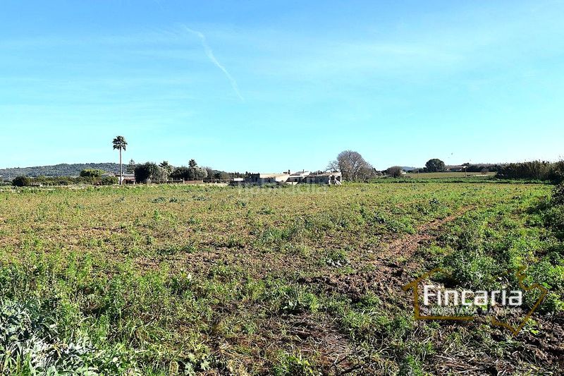 Foto b5503f29-be0f-4596-803b-bd50e3135f07. Masia a Manacor centre Manacor