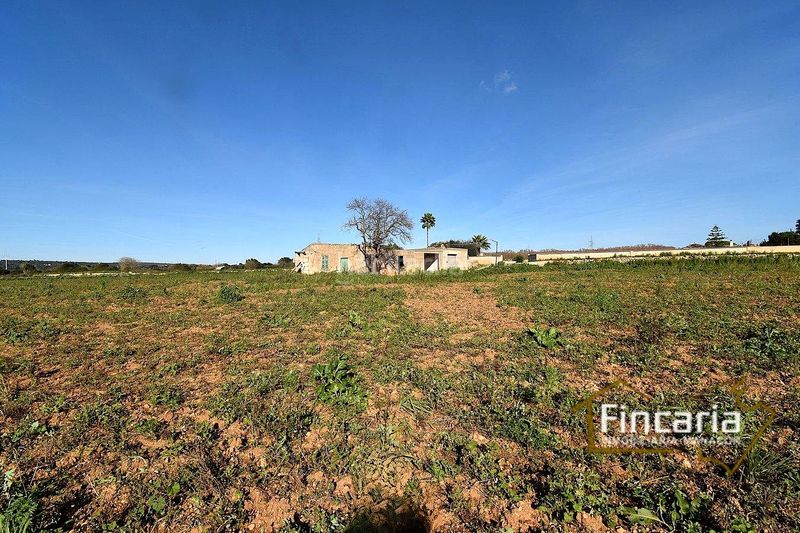 Foto d85cff14-3c9e-4da5-9e9d-0f88e5f1a934. Masia a Manacor centre Manacor