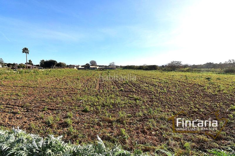 Foto ddfad4b9-ad67-4973-a5b5-3d2ef9693cb9. Masia a Manacor centre Manacor