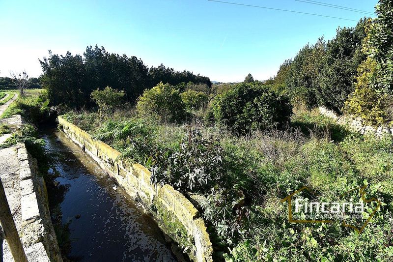 Foto eef8d2e0-f75e-480b-9775-7a051b7e8f68. Masia a Manacor centre Manacor