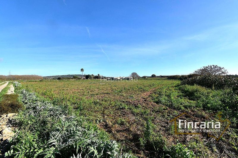 Foto f7a1480f-1bcd-470f-aa2d-3efb4e7a6e1c. Masia a Manacor centre Manacor