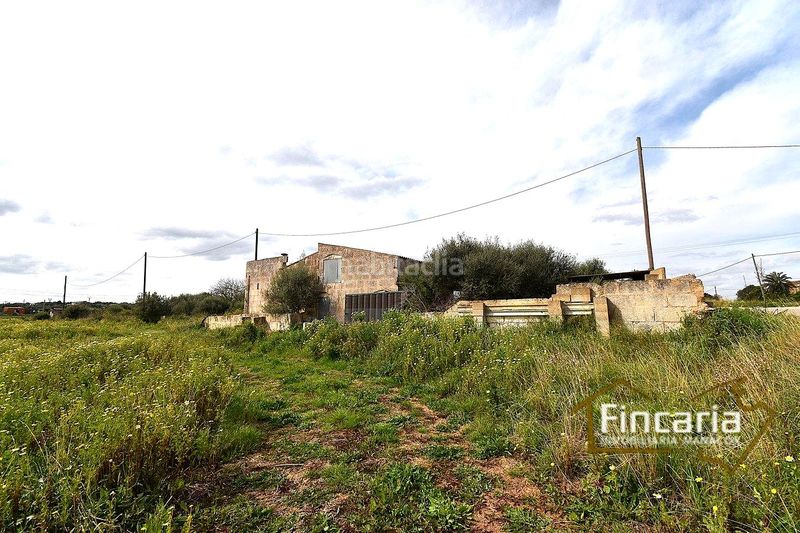 Foto 147e102d-673e-4565-966f-4f71f5ff87e1. Masia a Manacor centre Manacor