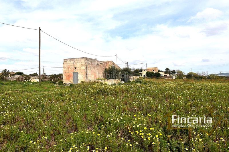 Foto 90596929-7e30-4f7e-848c-d34c33742a28. Masia a Manacor centre Manacor