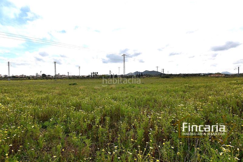 Foto b66da77b-946c-4504-ac8e-a0695570fce5. Masia a Manacor centre Manacor