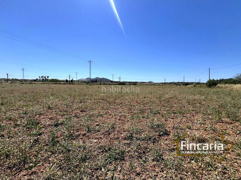 Foto c3bd33dd-7380-4bdc-857d-6d1c9d441e50. Masia a Manacor centre Manacor