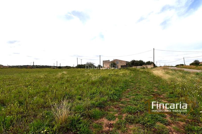 Foto ca534333-2f1b-4824-ac81-5717aa56fe88. Masia a Manacor centre Manacor