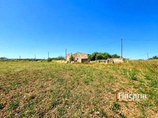 Country house  De s'estació. Venta de almacén agrícola en manacor