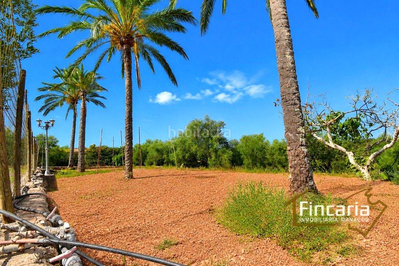 Foto d132d0aa-2d0f-4485-a291-c044c897bff4. Masia amb piscina a Manacor centre Manacor