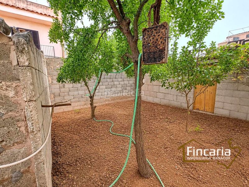 Foto 3a7e4dc9-c735-4635-b101-ffc59c1df66a. Terreno residencial venta de solar en Manacor centre Manacor