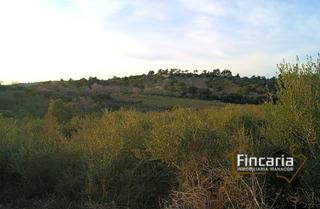 Residential Plot in Sant Joan. En la apreciada zona de hortella a 4 km de distancia de la local