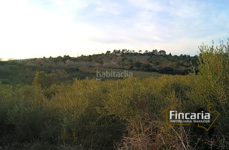 Foto 09b1cffb-68c4-4184-98cc-5523bbc48a6f. Terrain résidentiel dans Sant Joan