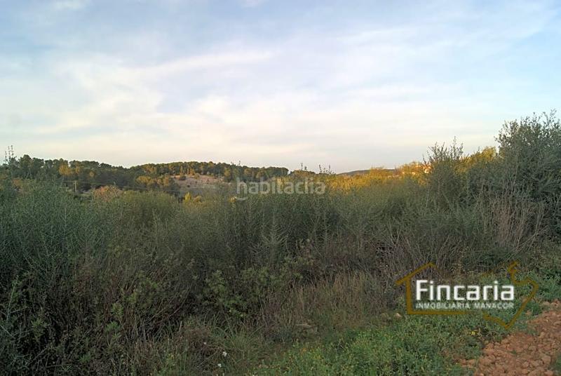 Foto 3c6913af-7083-4411-af8a-28f0046b7e15. Terrain résidentiel dans Sant Joan