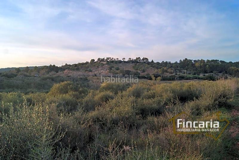 Foto 5fa06e2f-0b12-4567-815b-14dacc627c83. Terrain résidentiel dans Sant Joan