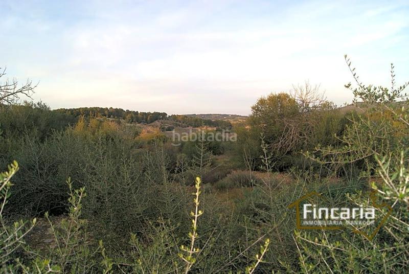 Foto 65a84b9a-0fe5-44c3-8d2f-e3ea6d1d3734. Terrain résidentiel dans Sant Joan