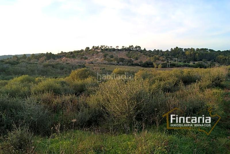 Foto 785bf534-2b65-413c-9ec1-980ac9b81b10. Terrain résidentiel dans Sant Joan