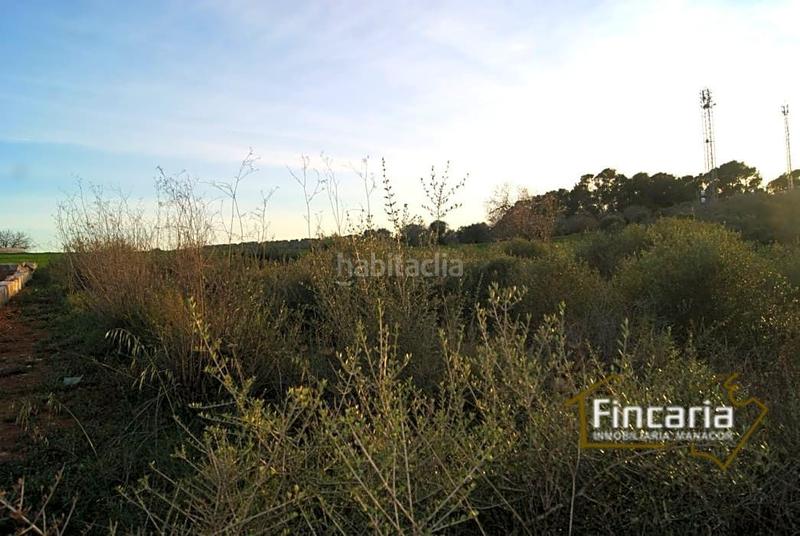 Foto 99bda04c-b534-4b0e-82cd-ecb8a6a0d53a. Terrain résidentiel dans Sant Joan