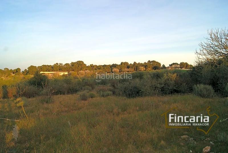 Foto bf68fee2-0fa5-4a90-8901-563cd23d023d. Terrain résidentiel dans Sant Joan