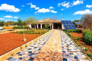 Bauernhof  Porto cristo-son servera. Venta de casa rústica en porto cristo