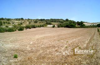 Terreno residenziale  Camí de sa murtera