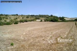 Terreno residencial  Camí de sa murtera. Finca rústica con proyecto en manacor