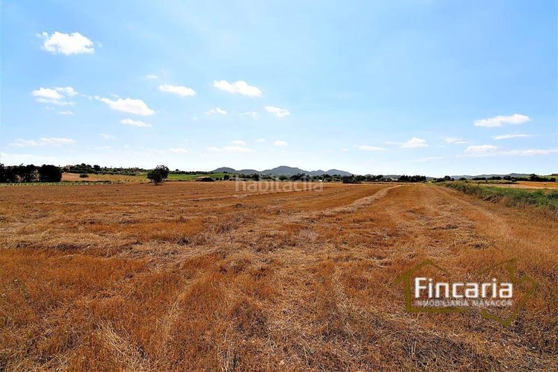 Foto 52cbe96d-3abf-4b5d-a937-905a992dceca. Finca rústica venta de finca rústica urbanizable en Manacor