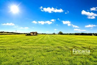 Rural plot  Camí son moix. Venta de finca rústica urbanizable en manacor