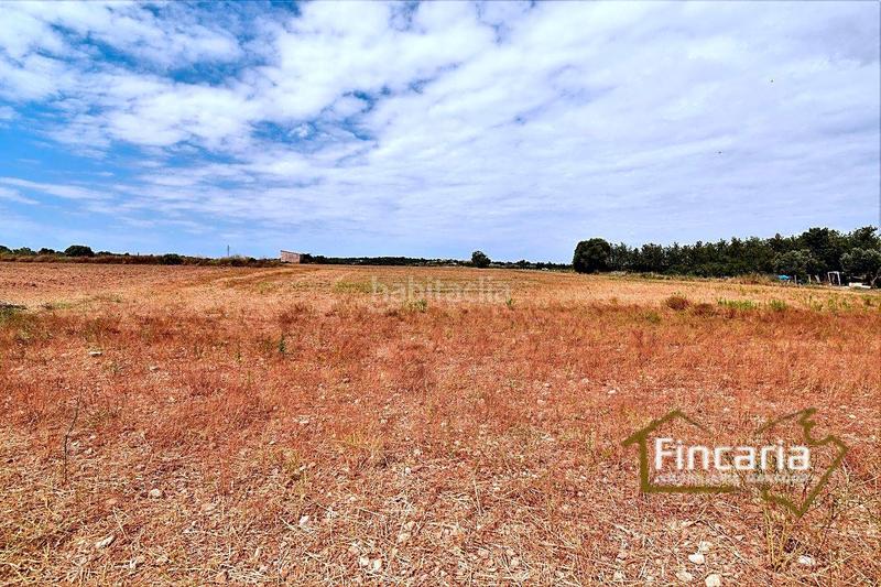 Foto 9ed2328b-6175-4d94-a078-3d8f2beecda1. Finca rústica venta de finca rústica urbanizable en Manacor