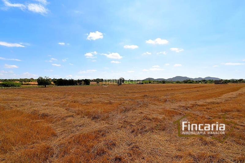 Foto ae5309c4-5e25-4cd1-b7ee-fa18cb7895a5. Finca rústica venta de finca rústica urbanizable en Manacor