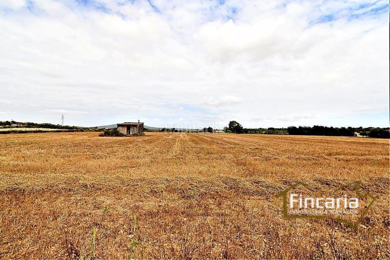 Foto b5dfa410-22c5-4526-ba80-4a122c5360a3. Finca rústica venta de finca rústica urbanizable en Manacor