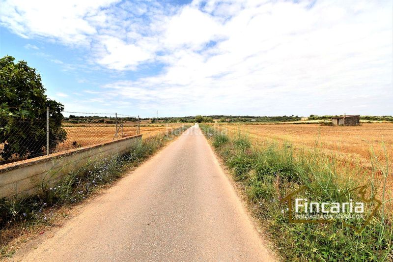 Foto c148ff91-c7f0-4db5-8690-a14c305f80c7. Finca rústica a Manacor centre Manacor