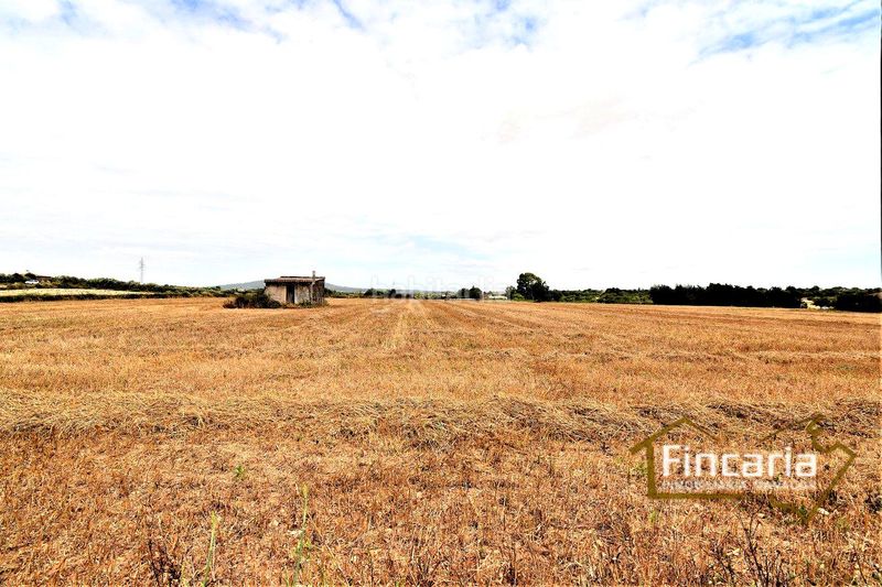 Foto e7340f16-9dd8-4ec3-b913-8e4b8aed290f. Finca rústica a Manacor centre Manacor