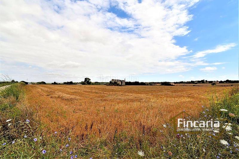 Foto ea536bdd-e2a0-445d-a2e4-1139063b458a. Finca rústica venta de finca rústica urbanizable en Manacor