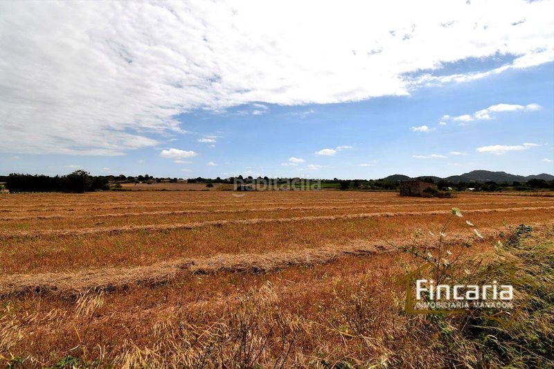 Foto ec951764-2527-4b24-9124-e81c6852d6fe. Finca rústica a Manacor centre Manacor