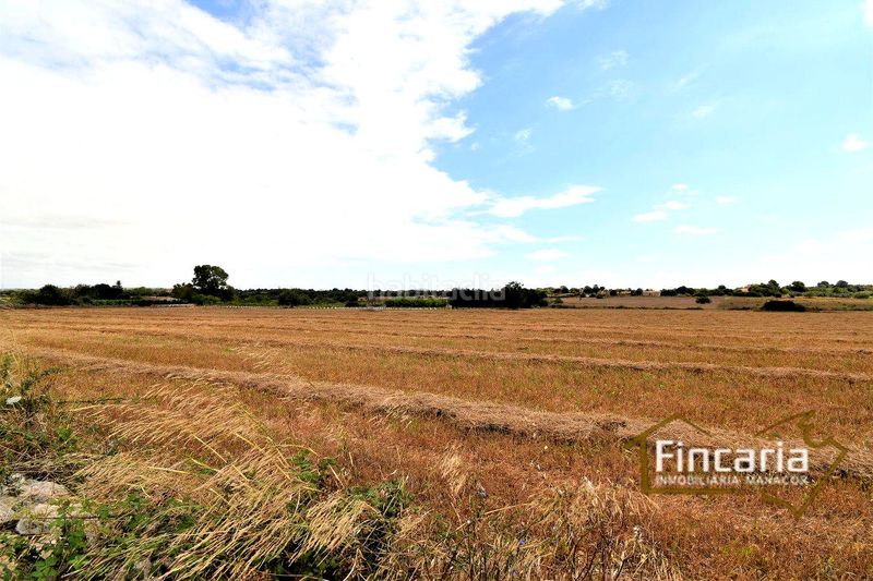 Foto f0cc22c5-2161-4d97-9f3d-9aa1eb5872c1. Finca rústica a Manacor centre Manacor