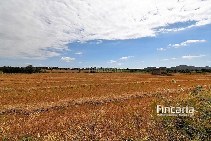 Foto f88071e2-37d9-4d19-a311-9403fc304d57. Finca rústica venta de finca rústica urbanizable en Manacor