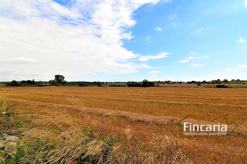 Foto f921d185-3d3c-4a95-8fc7-88b89be6d4ca. Finca rústica venta de finca rústica urbanizable en Manacor
