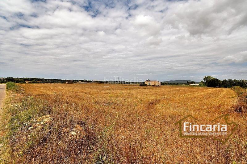 Foto f9786ebb-3d68-4940-923c-9607227bd3e7. Finca rústica venta de finca rústica urbanizable en Manacor