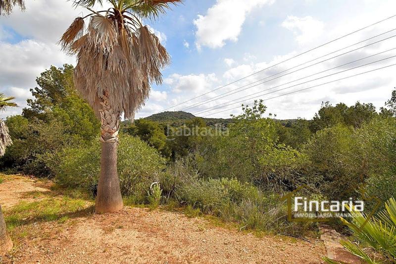 Foto d5f70bf3-8592-4658-86a8-fd87a4a5ce99. Masia amb calefacció piscina a S´Horta - Cas Concos des Cavaller - Es Carritxó Felanitx
