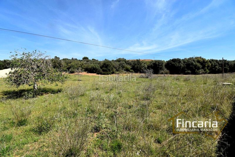 Foto 22548aaa-2291-4be0-adbd-6218eabfcb8b. Finca rústica a Sant Llorenç des Cardassar