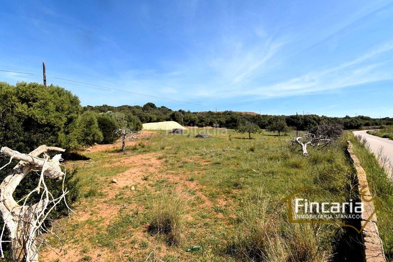 Foto 3fbdf226-1b98-4cd6-b96d-e241905428e9. Finca rústica a Sant Llorenç des Cardassar