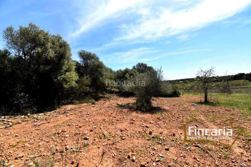 Foto 4f15cc7b-cd86-4f29-bce8-fe66d3bf8a5f. Finca rústica a Sant Llorenç des Cardassar