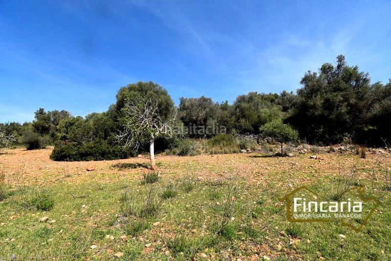 Foto 5e33cbd7-5311-495b-8da5-381a219178f5. Finca rústica a Sant Llorenç des Cardassar