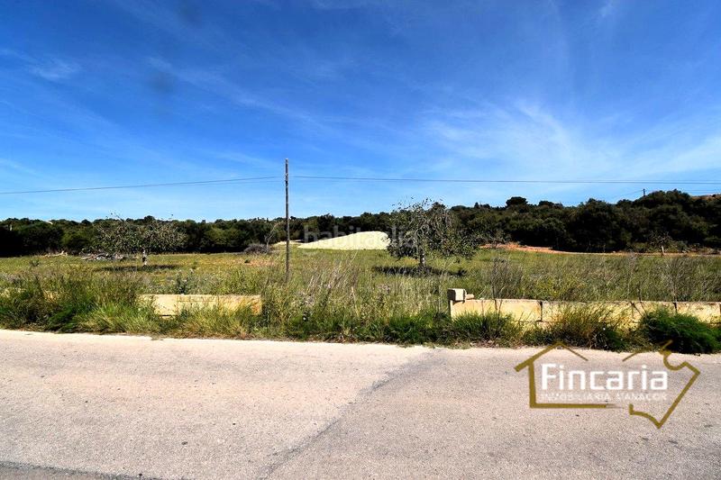 Foto 61ab7c90-7f21-4476-91de-f5d63494d935. Finca rústica a Sant Llorenç des Cardassar