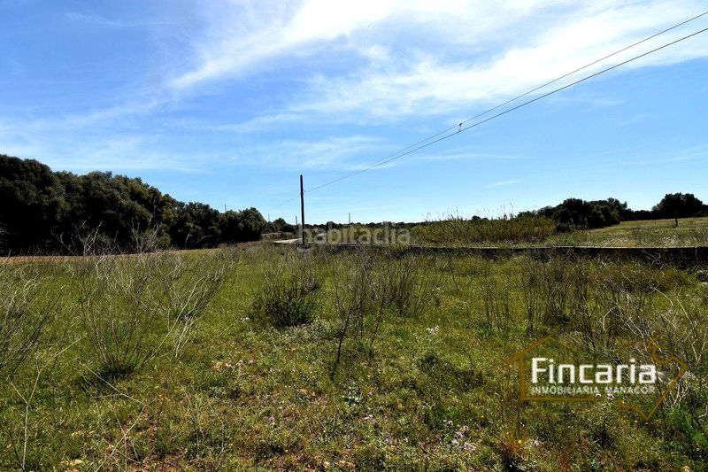 Foto 6571f32c-ab52-4836-af29-e8ee5454ea18. Finca rústica a Sant Llorenç des Cardassar