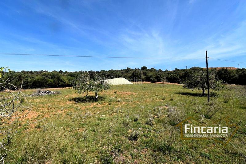 Foto 6fa571e4-1c9f-43cc-b033-79daf37c9752. Finca rústica a Sant Llorenç des Cardassar