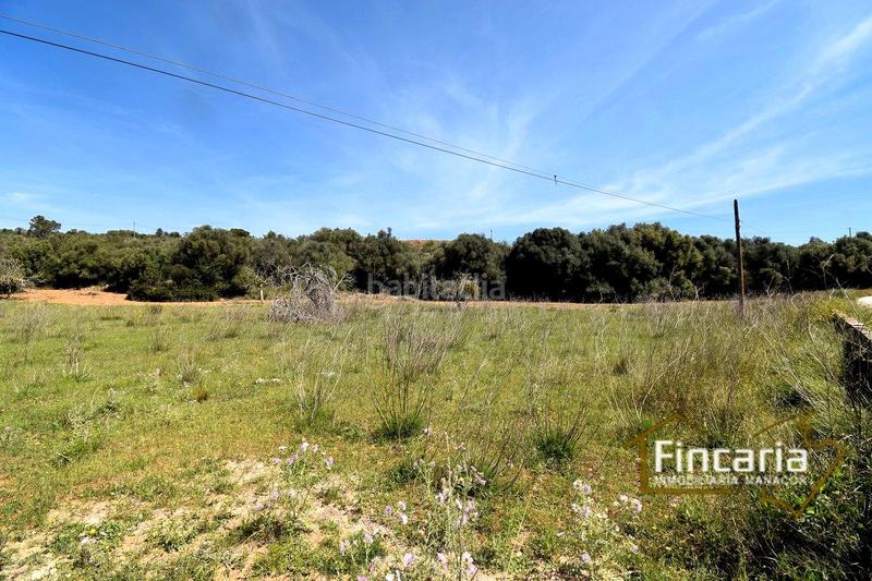 Foto 8c765a8d-e5c6-4d41-9e3d-016c1de8d338. Finca rústica a Sant Llorenç des Cardassar